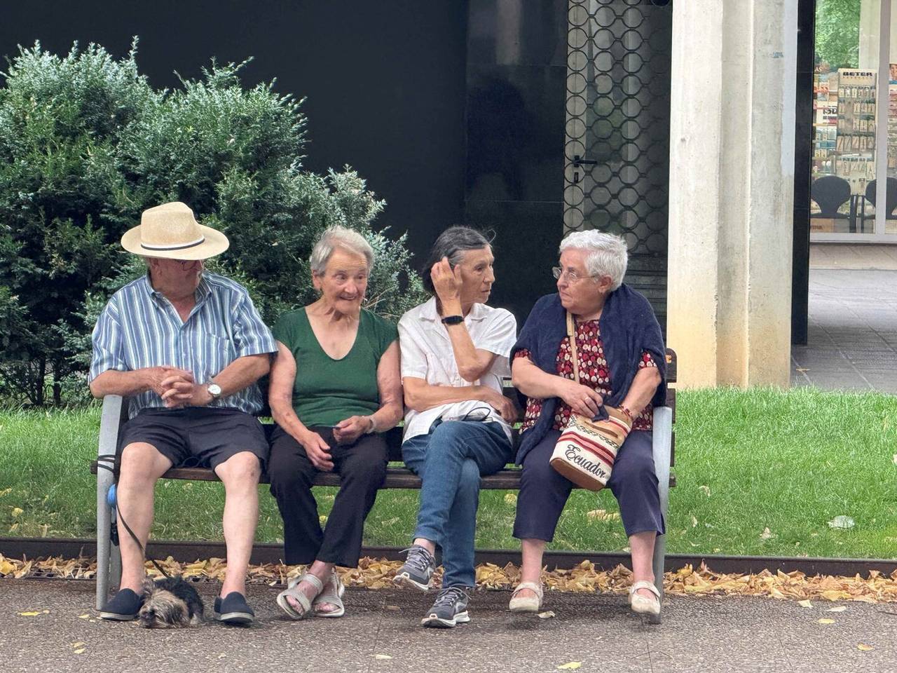 Gent Gran la Seu 1