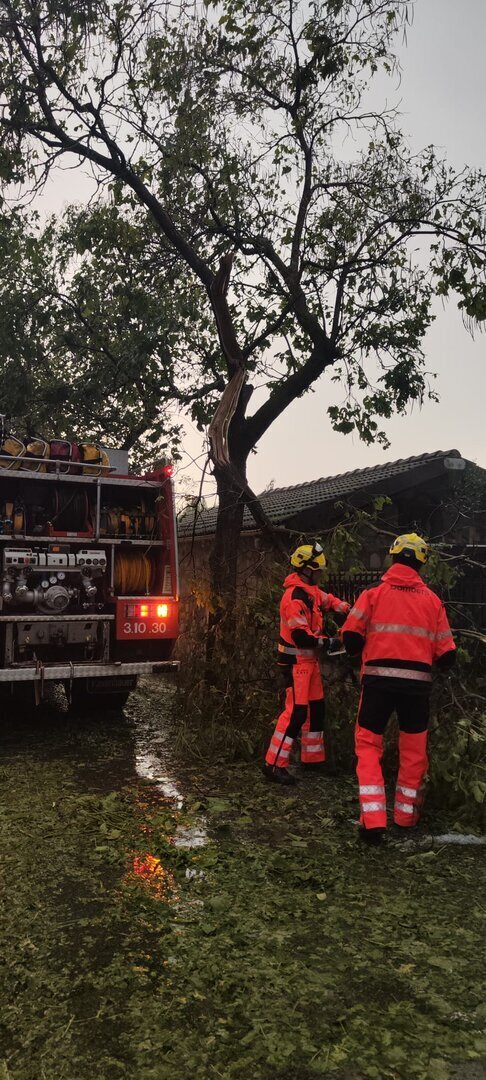 BOMBERS NARGÓ A LA SEU