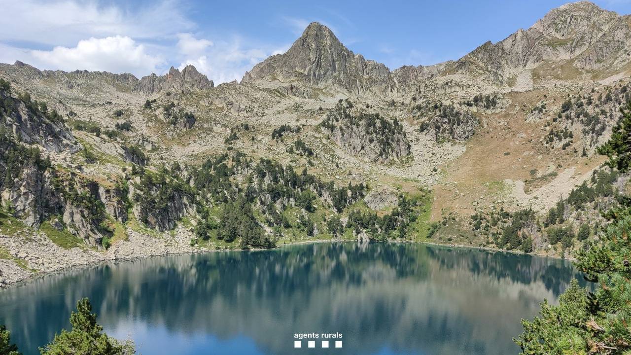 Denuncien pescadors estany Gerber 2