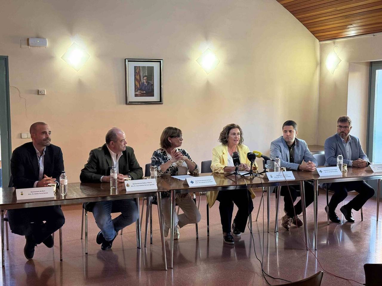 Alcaldes Alt Pirineu 2