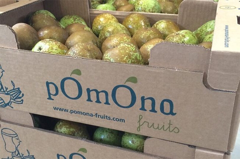 Pomona Fruits ©RuralCat