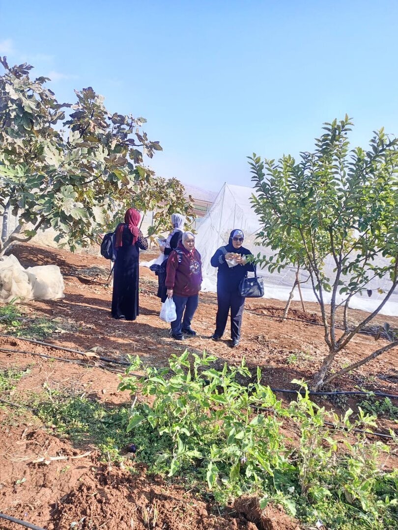 Cisjordania3