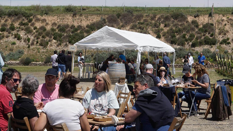 Activitats al celler Lagravera ©Lagravera