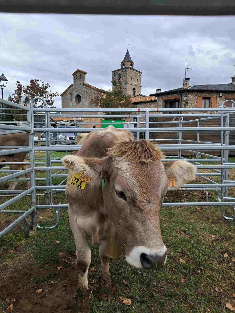 Fira Ramadera de Bellver de Cerdanya 2