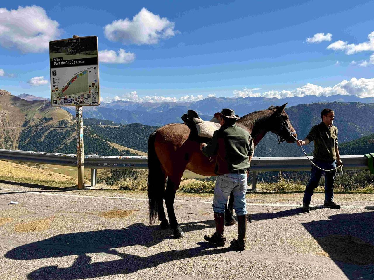 Cavalls muntanya de Tor  2