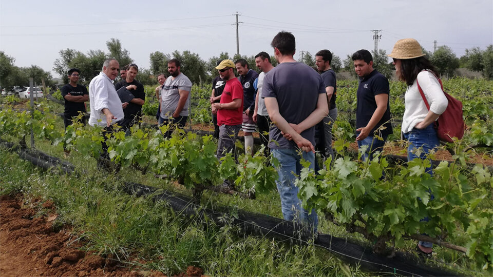 Producció agrària sostenible ©Agricultura