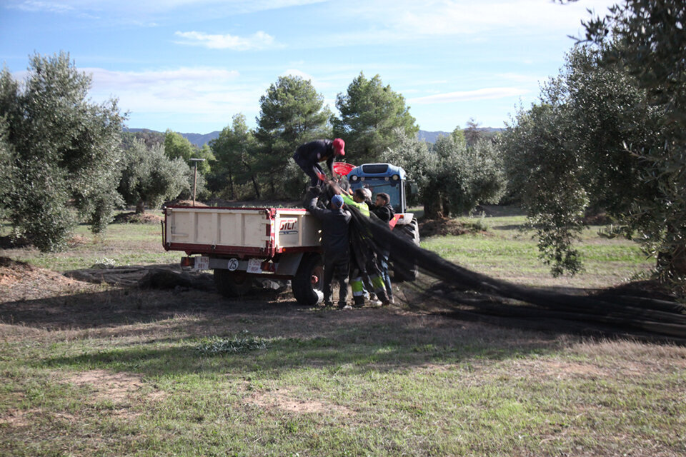 Producció agrària sostenible ©JosepAPérez
