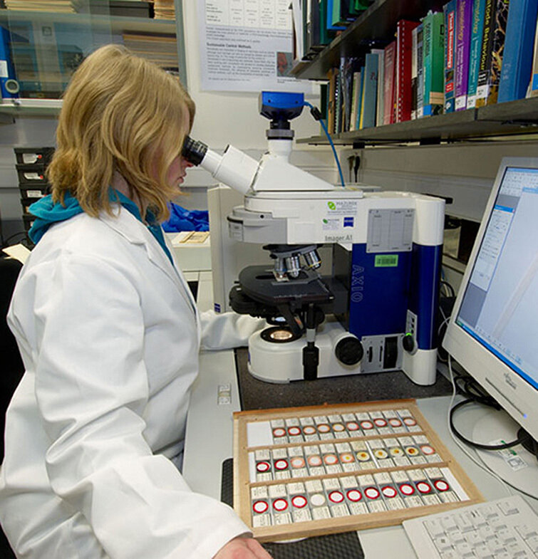Recerca de materials bioactius amb una baixa petjada de carboni ©UA