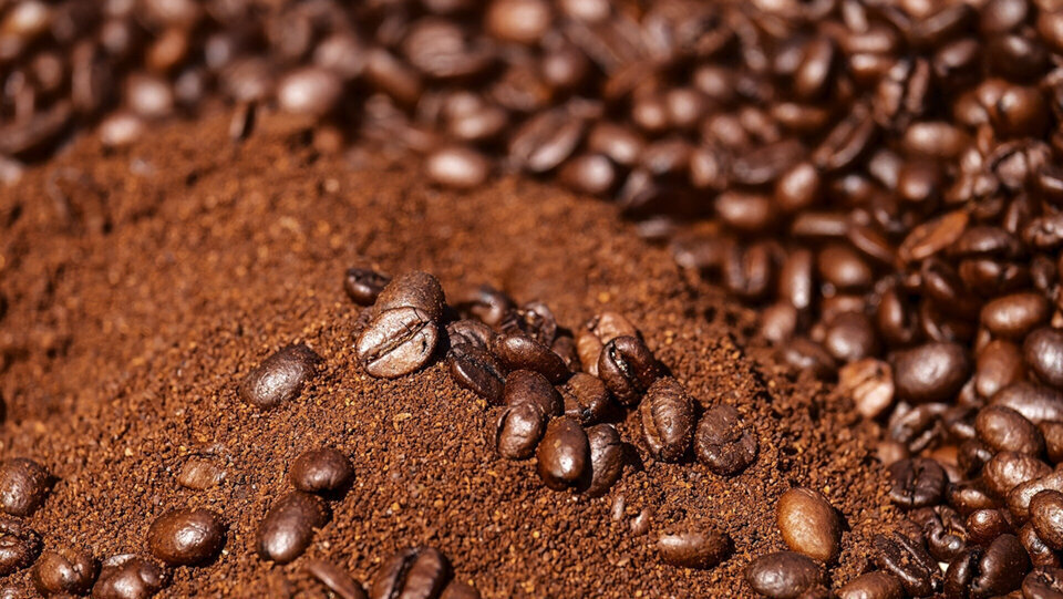 Cafè com a material bioactiu amb una baixa petjada de carboni ©AgroLab