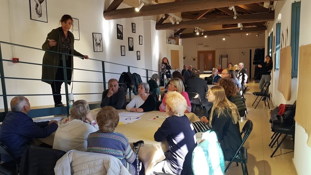 Informe Salut Puigcerdà +65 2
