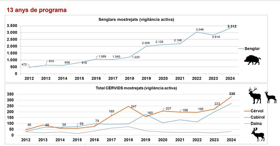 Gràfica de l'evolució