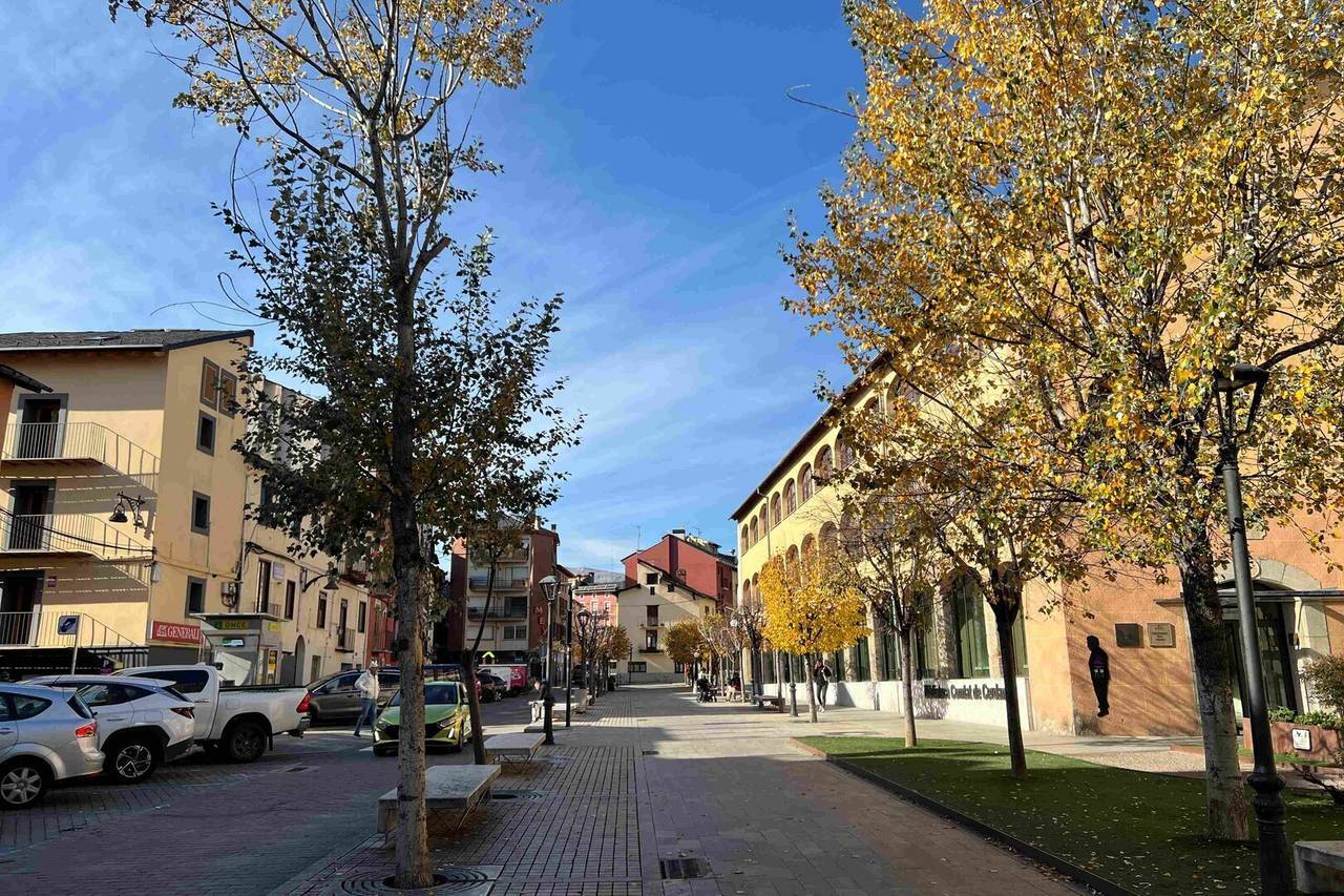 Fira Puigcerdà presentació 2