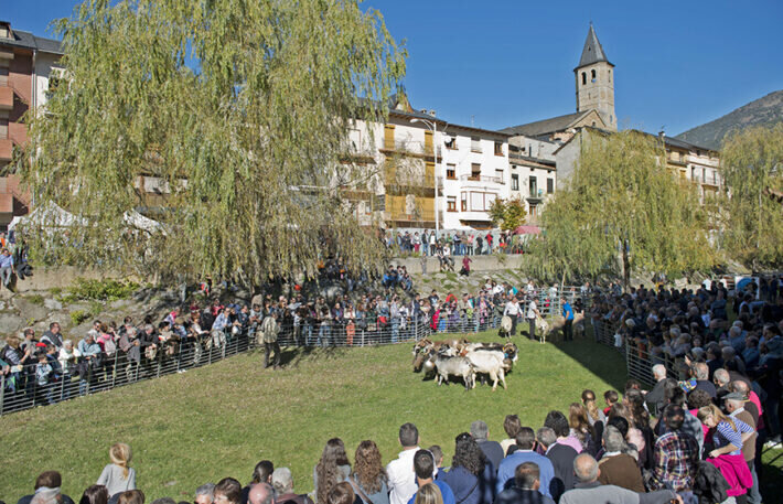 Fira de tardor de Sort