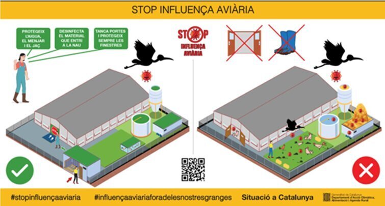 Gràfica efecte aus migratóries ©DARPA