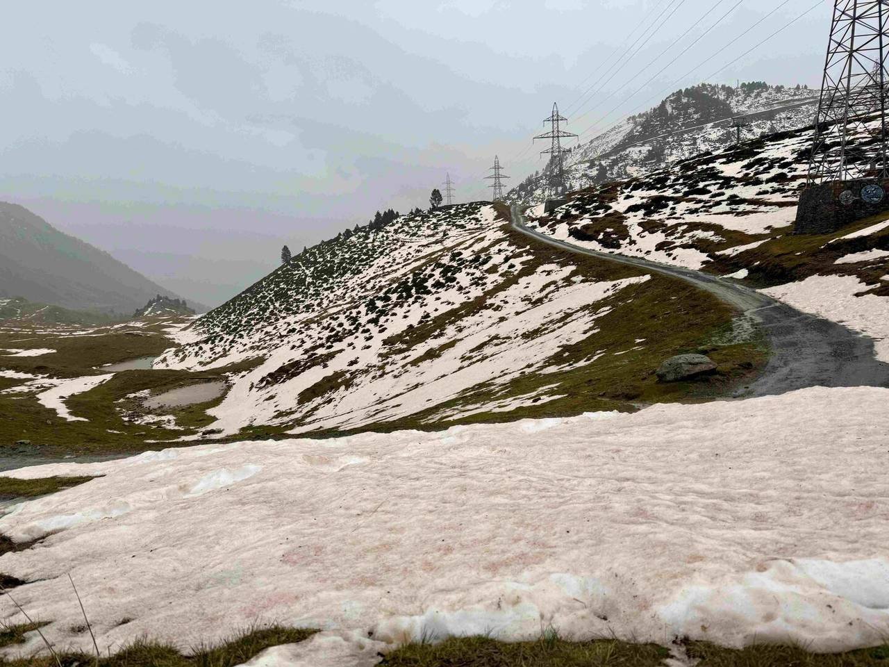 Pluja fang Bonaigua