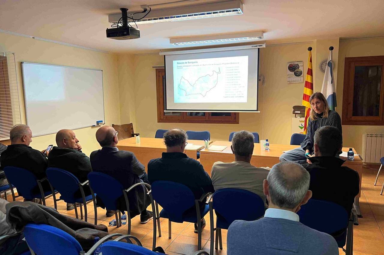 Gestió forestal Soriguera 3