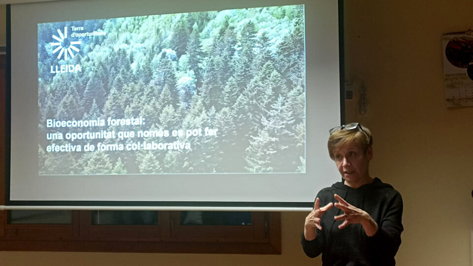 Jornada sobre aprofitaments forestals al Pirineu @DARPA