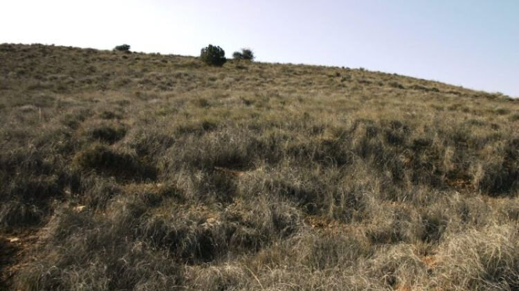 Terreny erm al Pallars ©DMAS