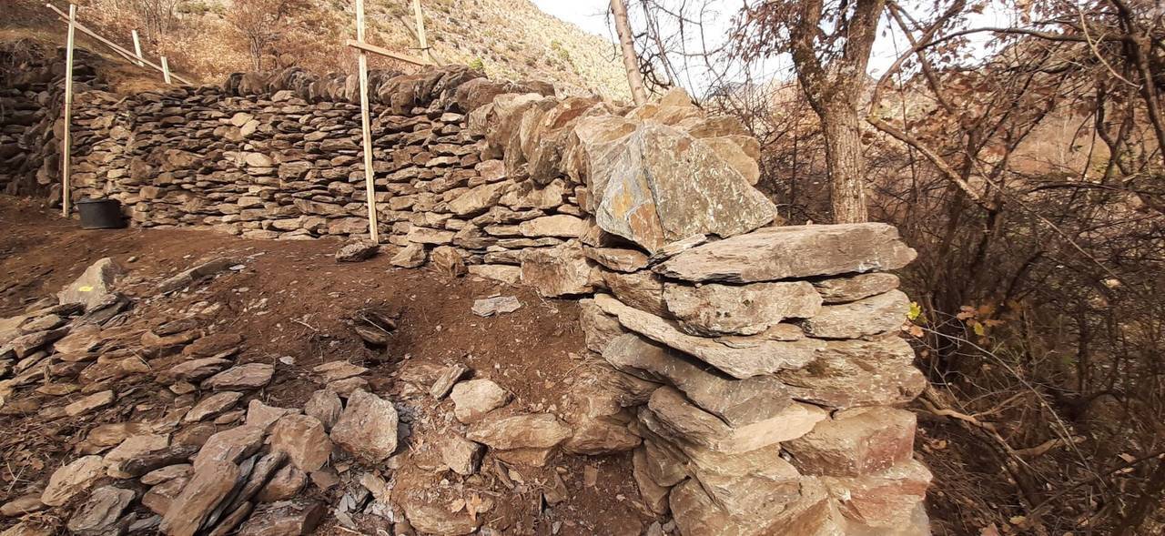 Pedra seca Camí del Botanal d'Alins 3