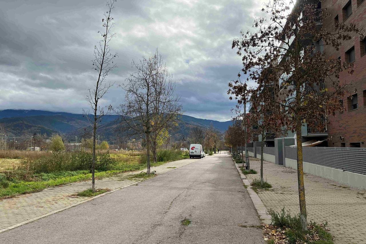 Pirineu Viu desembre 2025 4