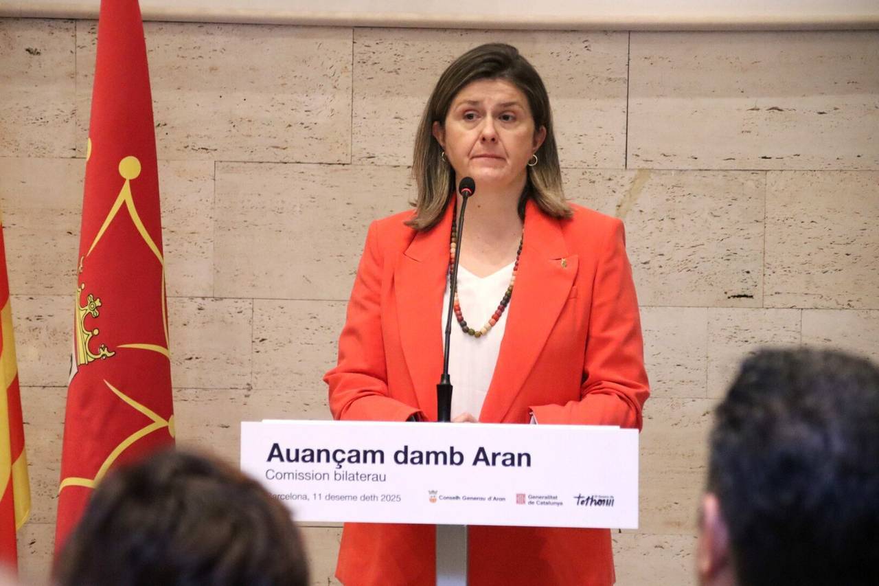 Govern Conselh Aran 5