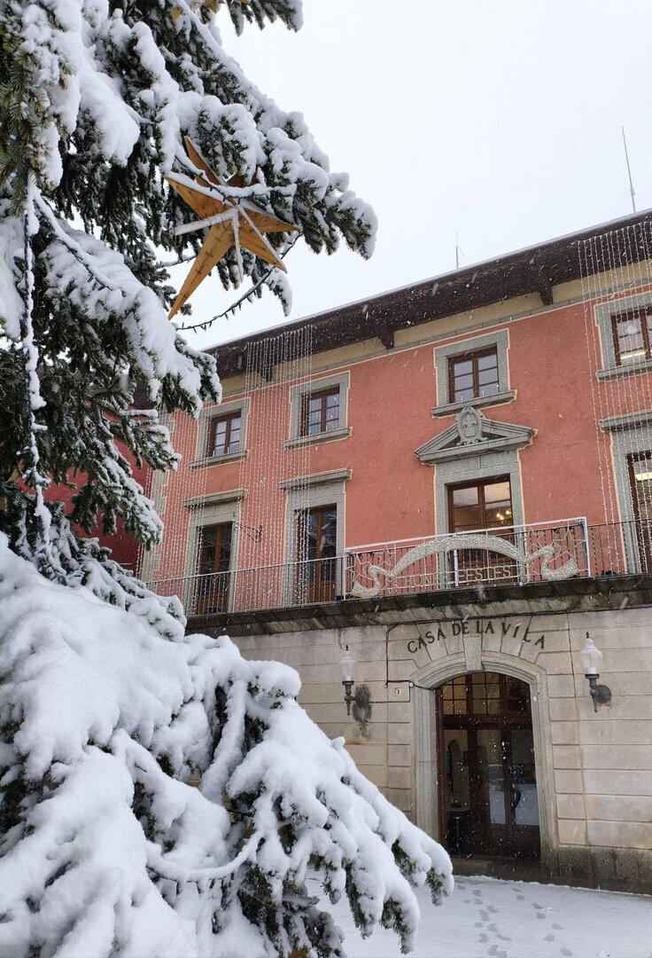 Puigcerdà nevada 3