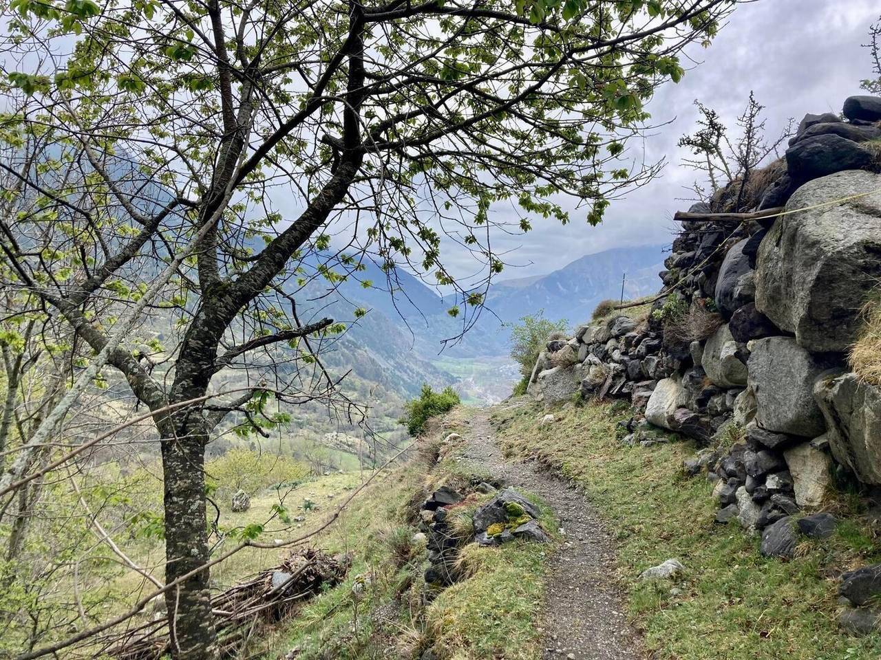Camí dels Llanceros de Taüll