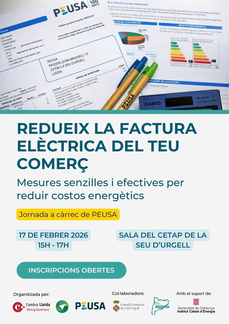 Cartell_Factura Elètrica_1