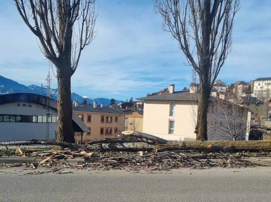 caiguda d'arbres a Puigcerdà 2