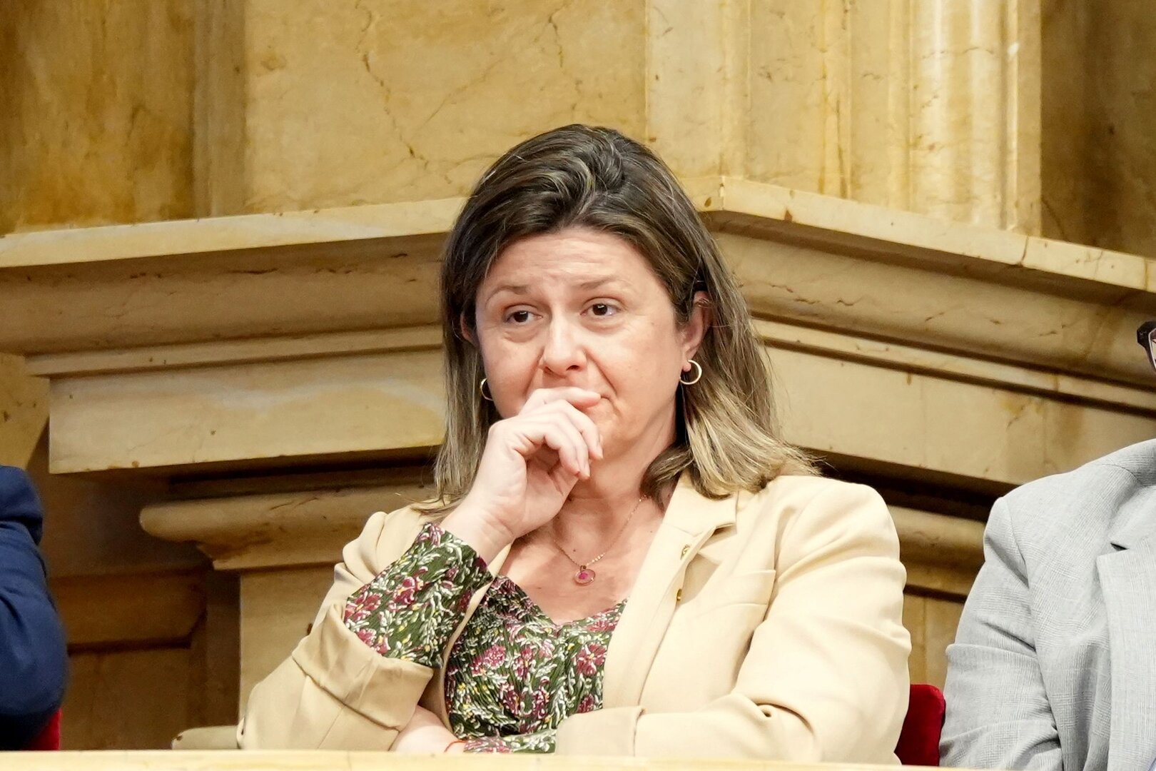 Aran Llei singularitat 2