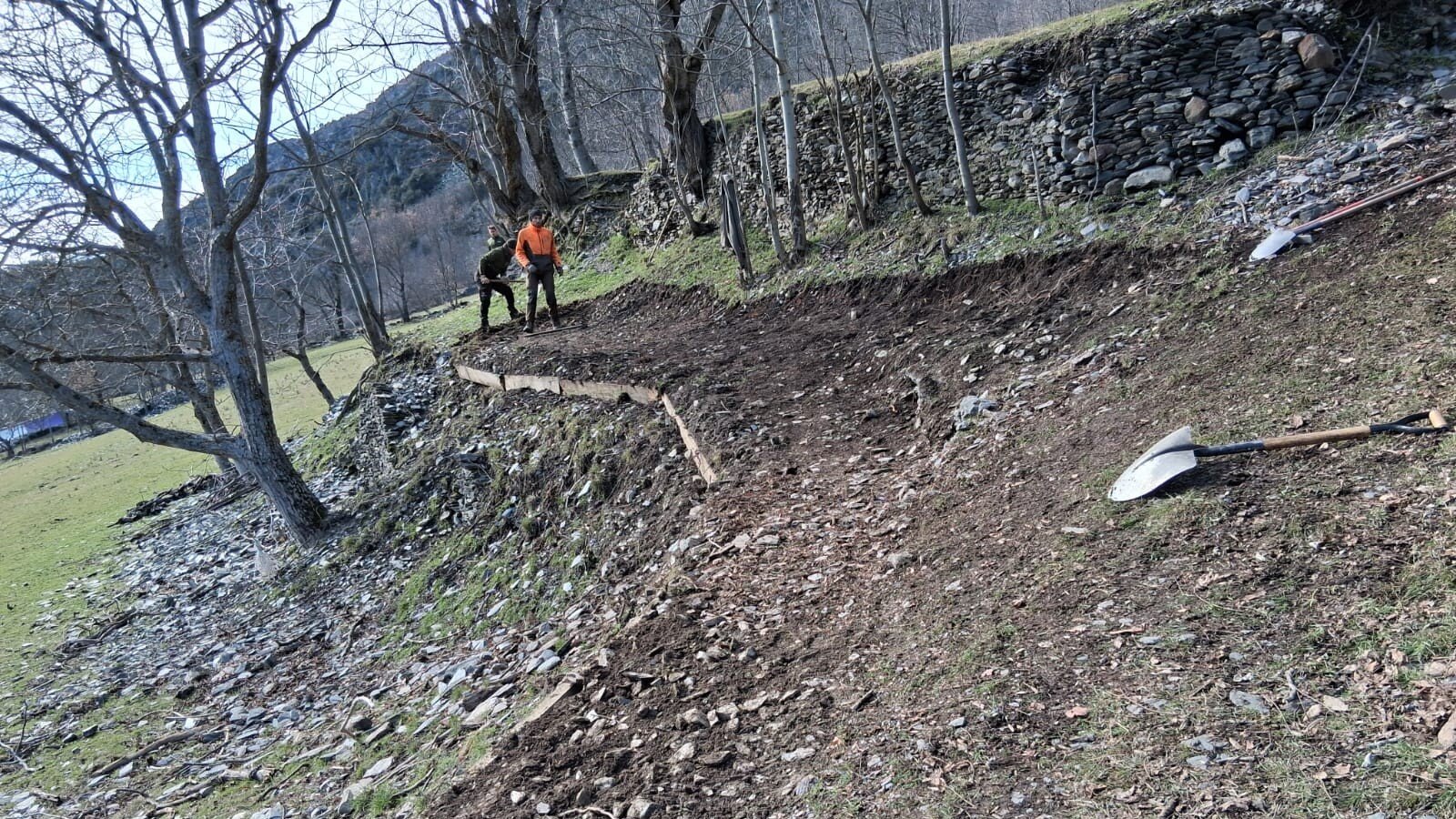 Camí entre Lladrós i Pui Tabaca 4