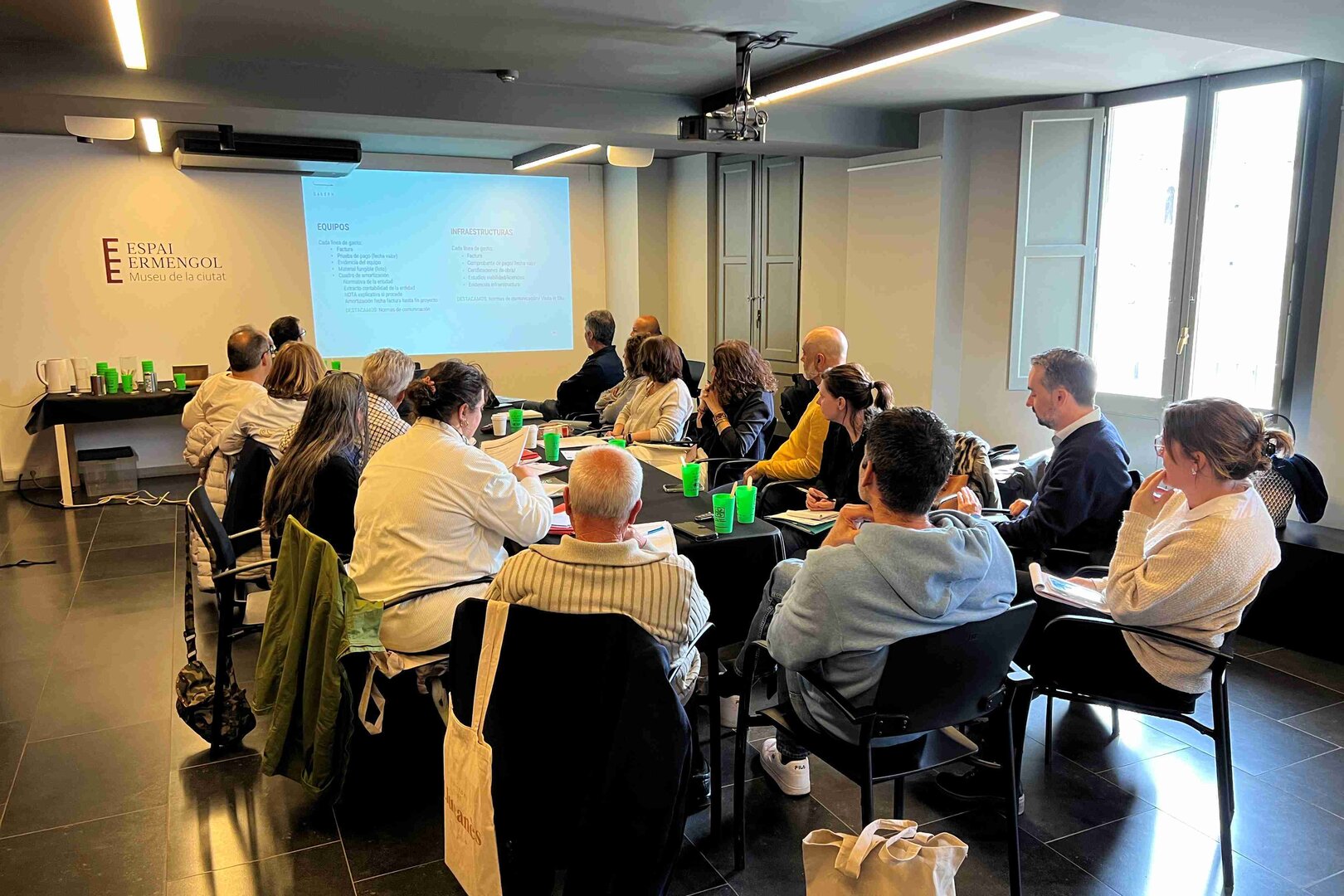 Ferro projecte europeu 3
