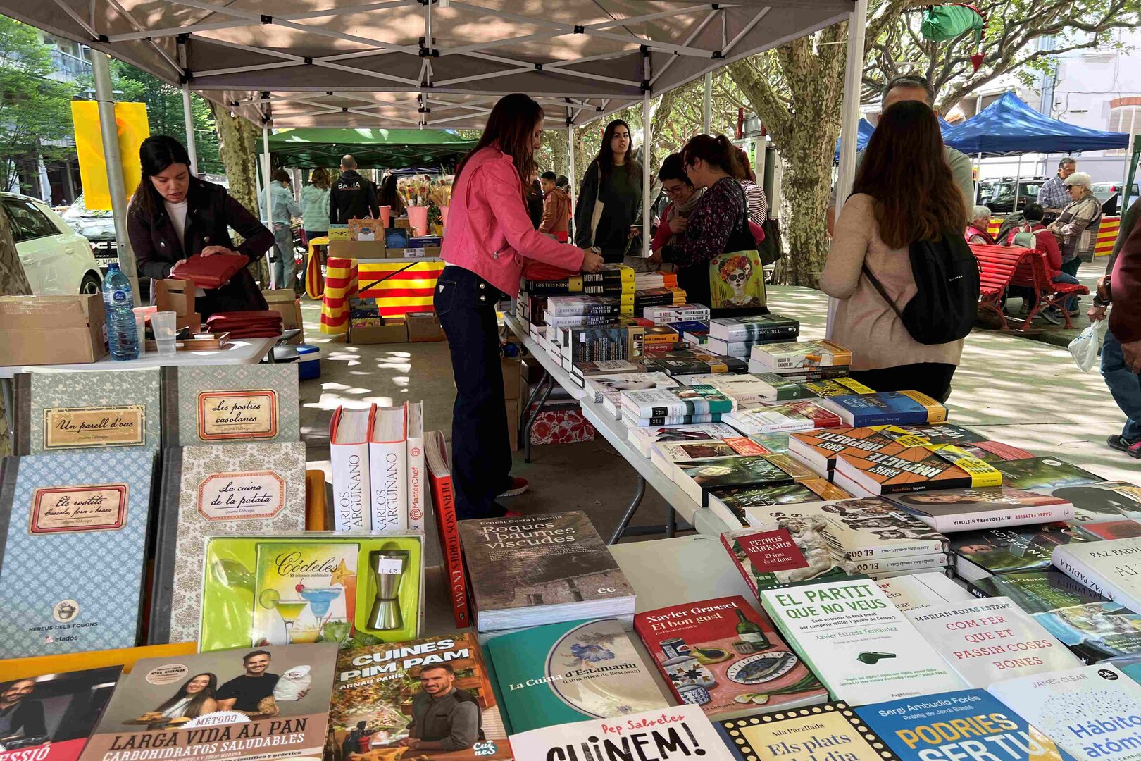 Sant Jordi 2026 la Seu