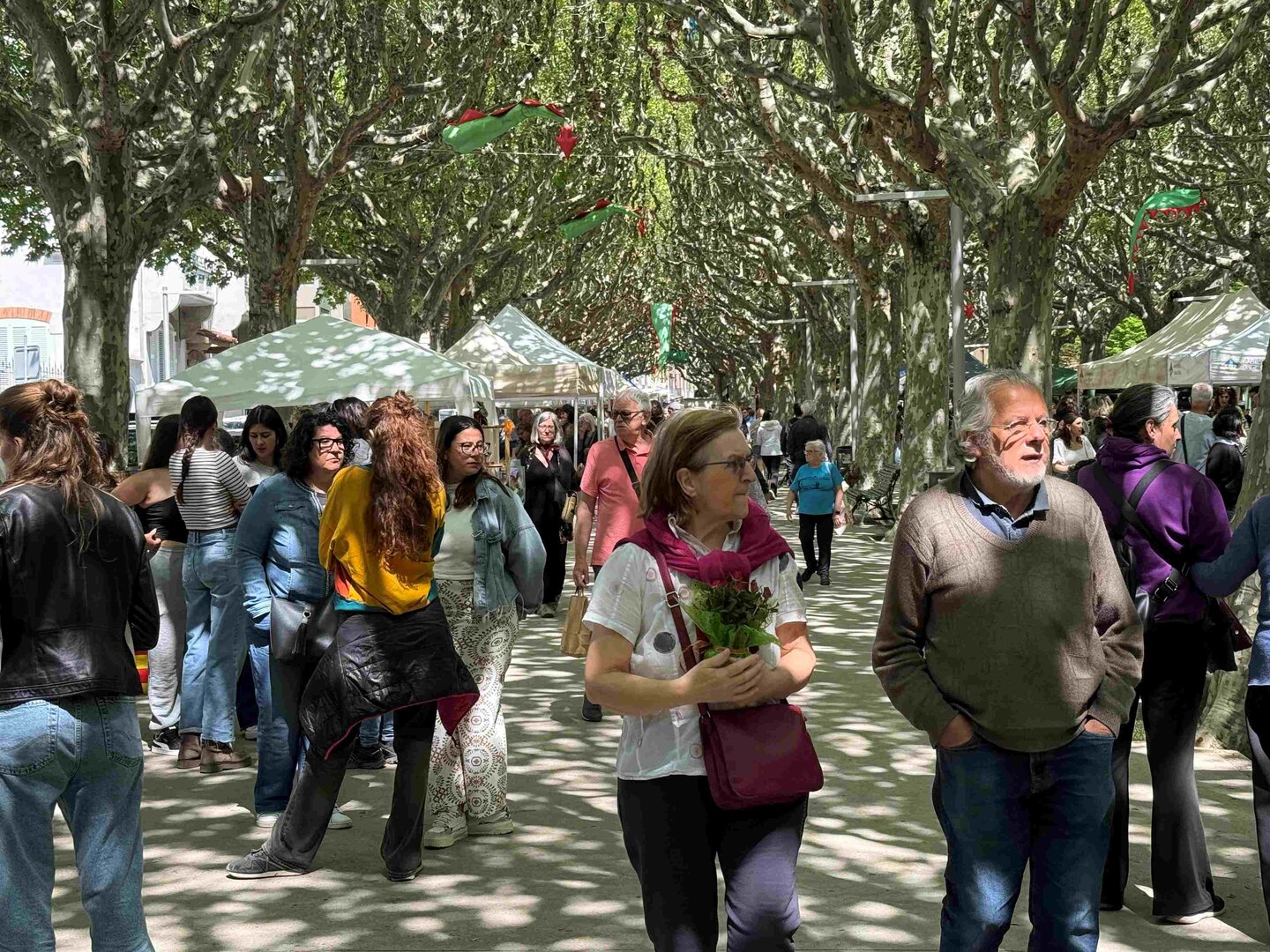 Sant Jordi 2026 la Seu 4