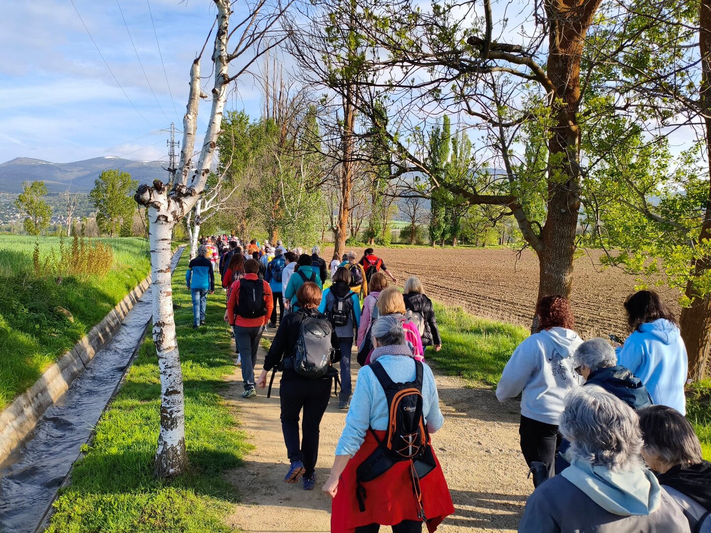 Caminada de la Sèquia 2026 2