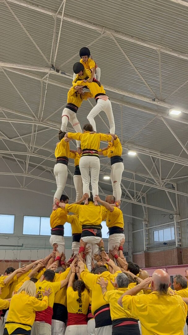 4 de 6