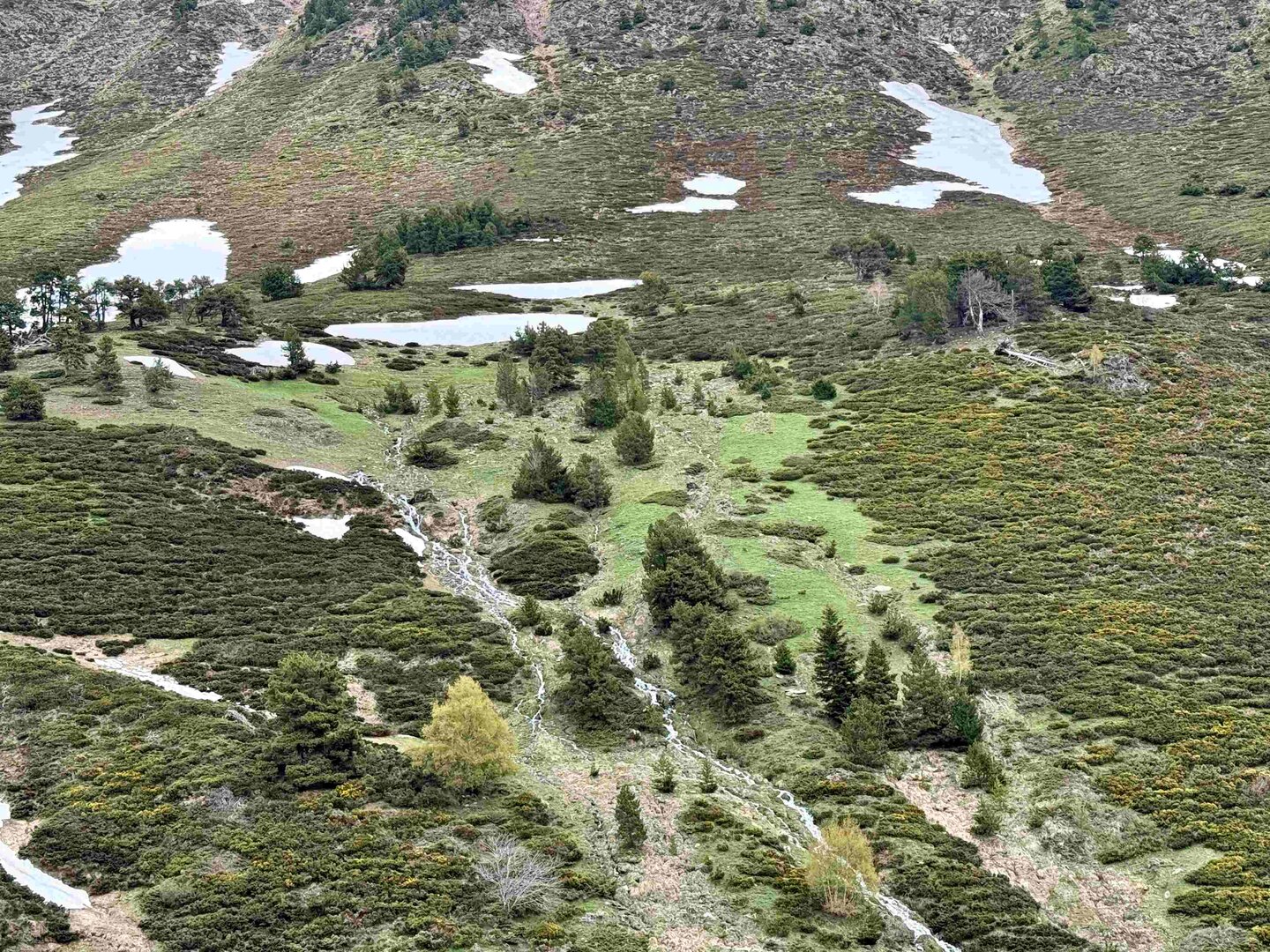 Aigua desgel Bonaigua 2