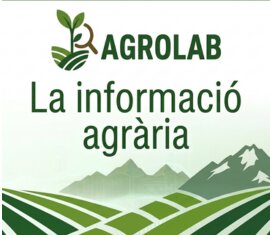 Anunci 65919