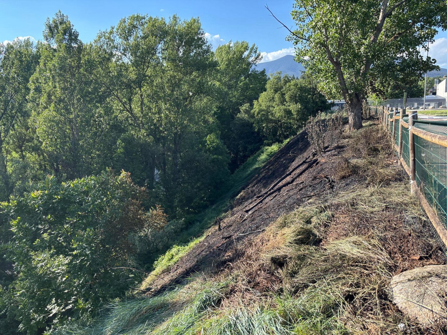 incendi vegetació institut la Valira 2