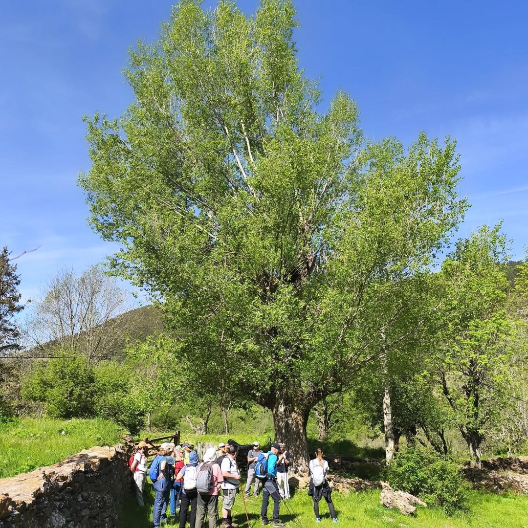 Camin_art, el festival de senderisme del Pont de Suert