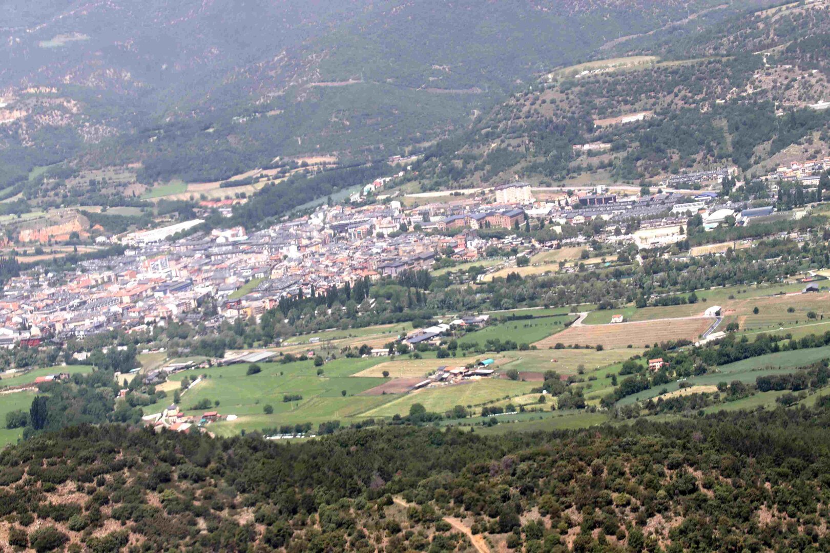 Bombers campana RECCO 4
