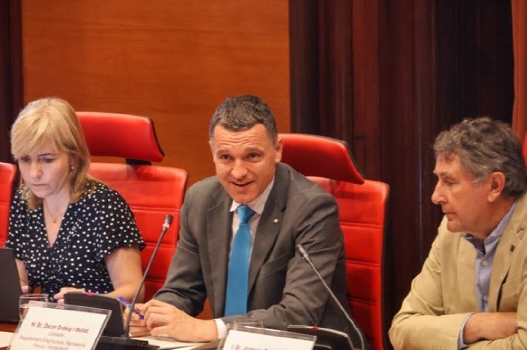 Ordeig pressupostos 5