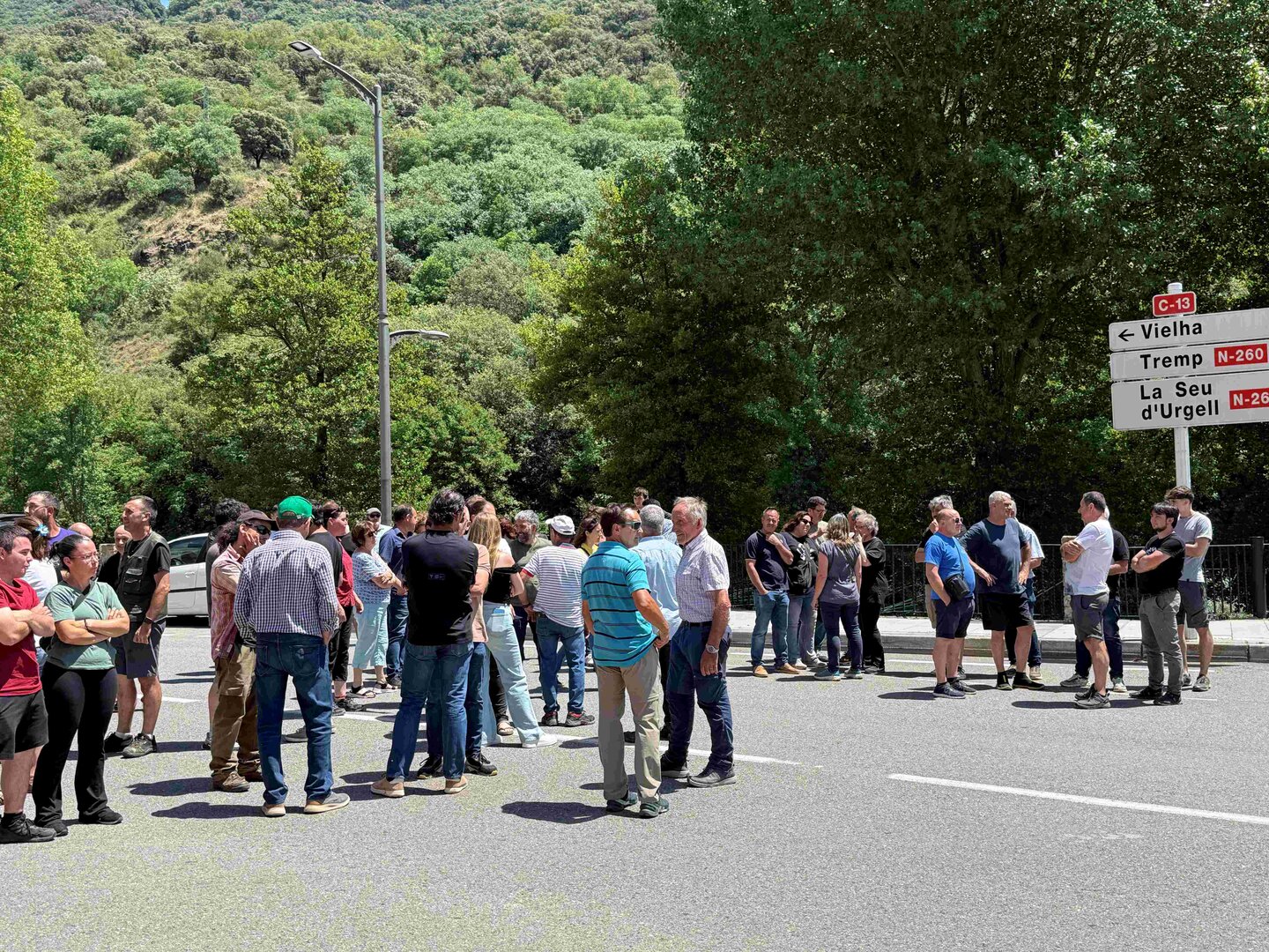 EXPLOTACIÓ RAMADERA SORIGUERA 5