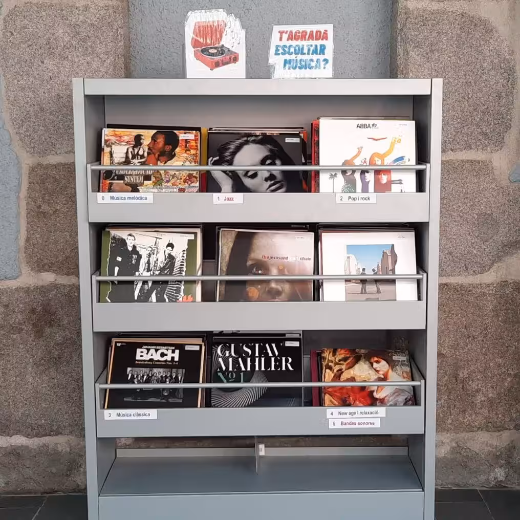 vinils 2