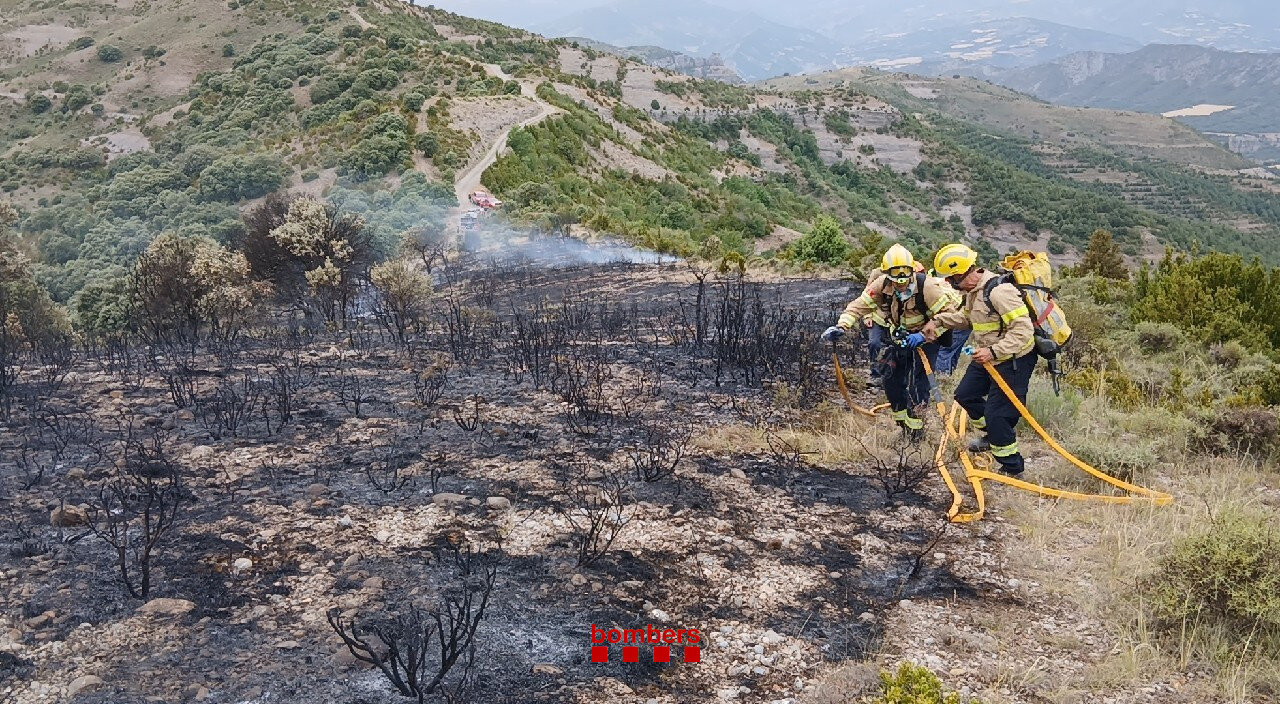 foc vegetació Pirineu
