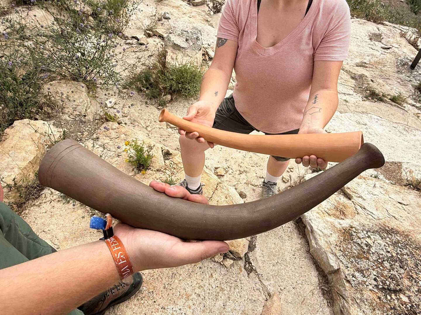 Xarxa sonora Vall de Barcedana estudi 3