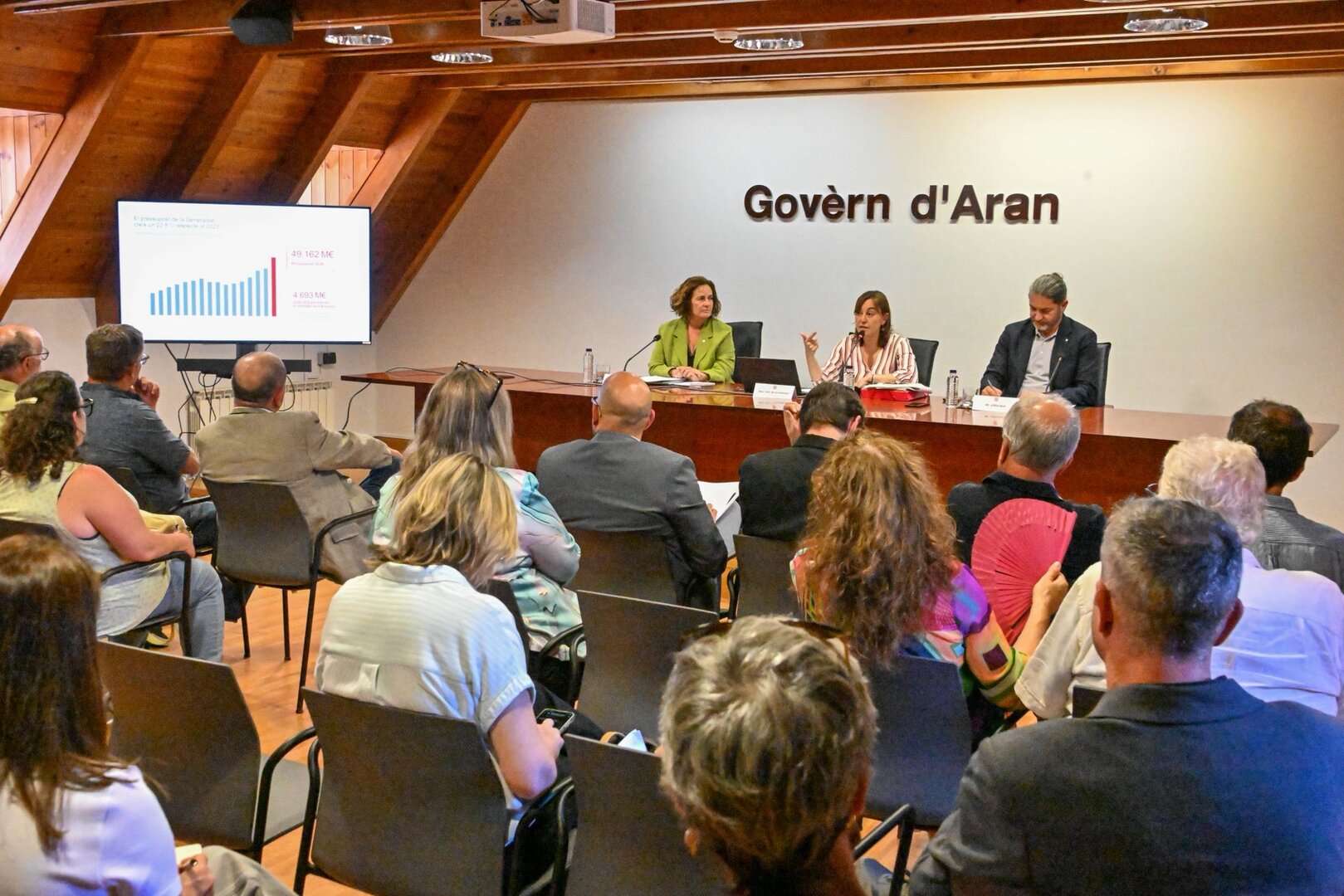 Consell rector IDAPA Aran 6