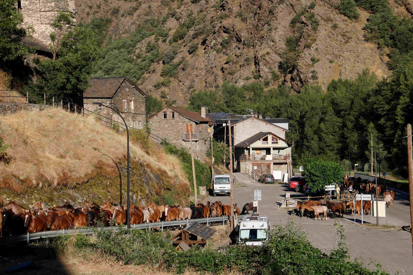 Cavalls Palanca 3
