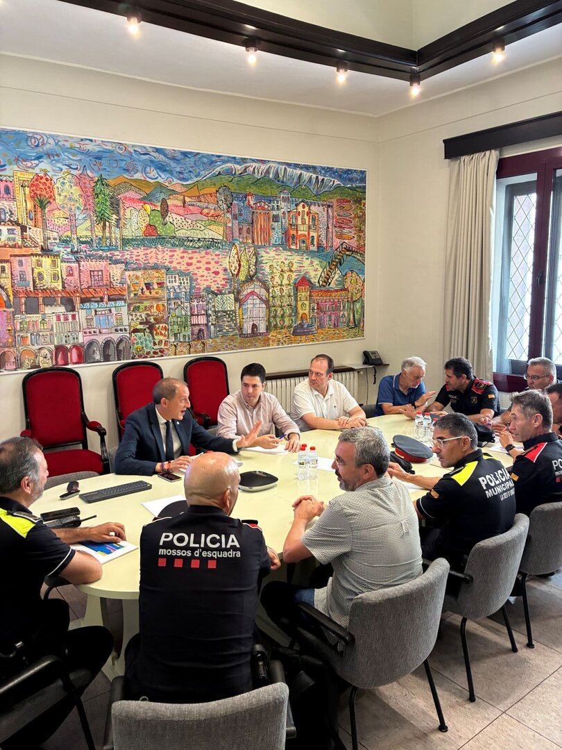 Junta Local Seguretat la Seu-4